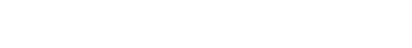 ユニークな挑戦が